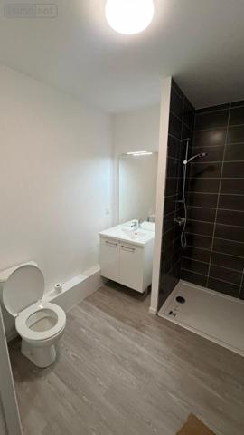 Appartement à louer à Angers dans le Maine-et-Loire (49100), ref : 49009-L59