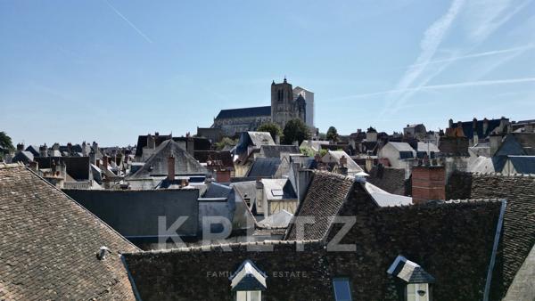 Appartement dans un Hôtel Particulier