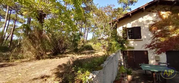 Vente maison Lege Cap Ferret : 997 000 € - AJP Immobilier Lège-Cap-Ferret