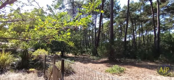 Vente maison Lege Cap Ferret : 997 000 € - AJP Immobilier Lège-Cap-Ferret