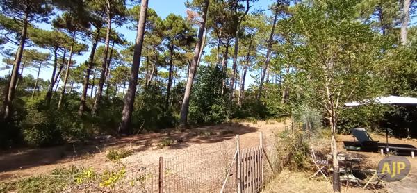 Vente maison Lege Cap Ferret : 997 000 € - AJP Immobilier Lège-Cap-Ferret