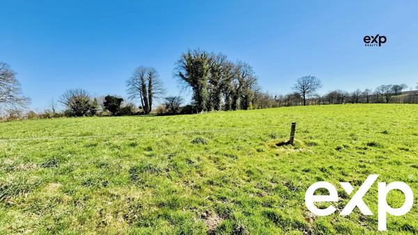 Terres Agricoles de 133420 m2 à MONTAUDIN (53220).