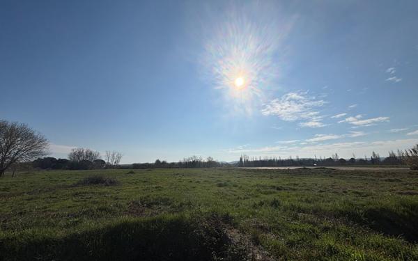 Terrain à vendre    Coursan