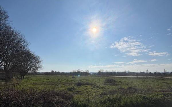 Terrain à vendre    Coursan