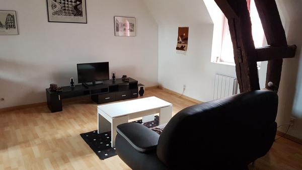 Location Appartement34,67 m² - 2 Pièces - MONTARGIS (45200)