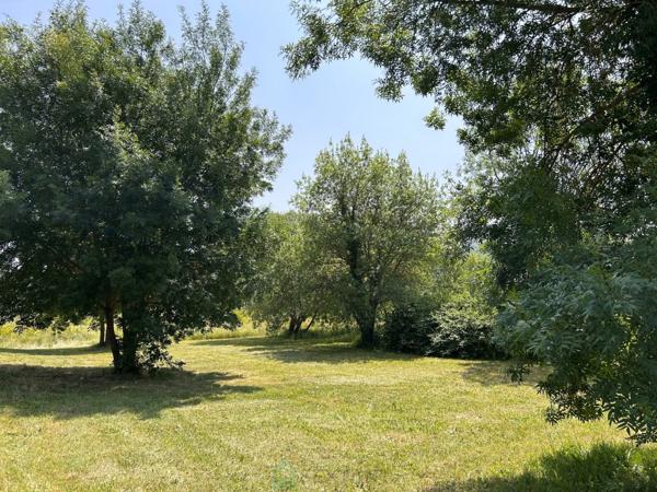 Maison de charme sur plus de 8200 m² de terrain dont une partie constructible