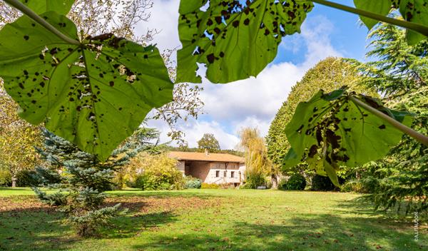 Demeure de prestige Sennece Les Macon 11 pièces 260 m2