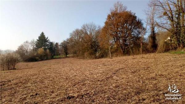 VENTE TERRAIN À BÂTIR - VICQ SUR NAHON