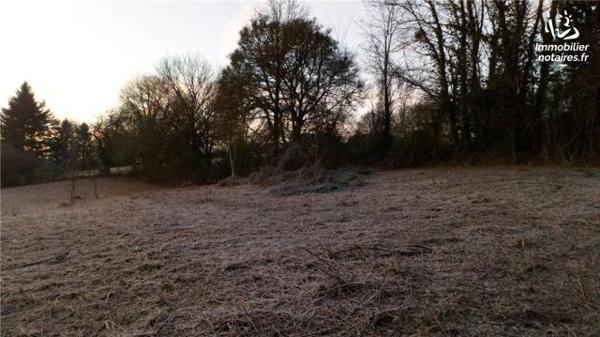 VENTE TERRAIN À BÂTIR - VICQ SUR NAHON