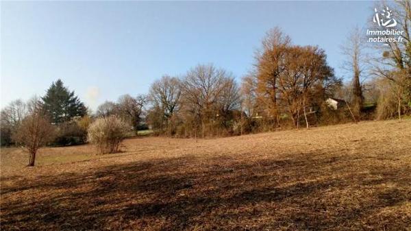 VENTE TERRAIN À BÂTIR - VICQ SUR NAHON