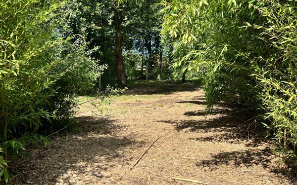 Terrain à vendre    Saubion