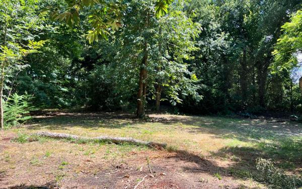 Terrain à vendre    Saubion