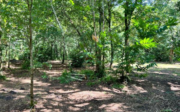 Terrain à vendre    Saubion