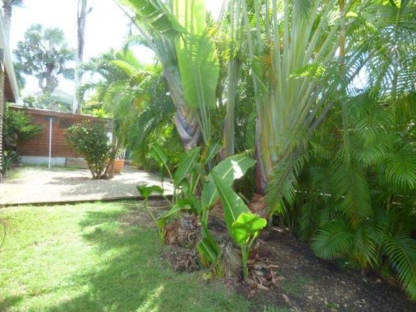 Vente / Autre à Saint-François (97118)