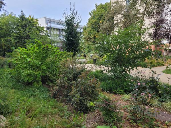 Appartement Saint Germain En Laye 3 pièce(s) 70.52 m2 €262 500 ** - Référence 17217