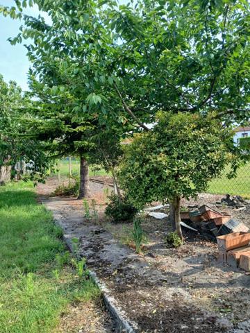 Idéal pour les passionnés de bricolage et de jardinage