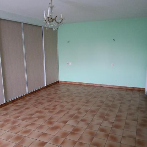 Idéal pour les passionnés de bricolage et de jardinage