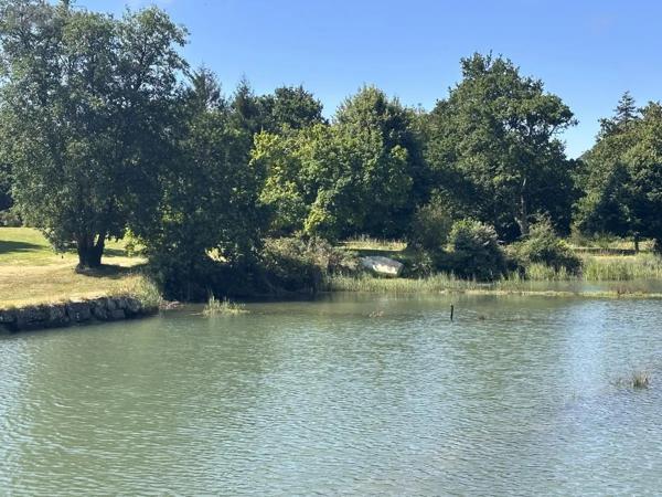 Achat - Maison Baden 56870 6 pièces 135 m 2 11361 m 2