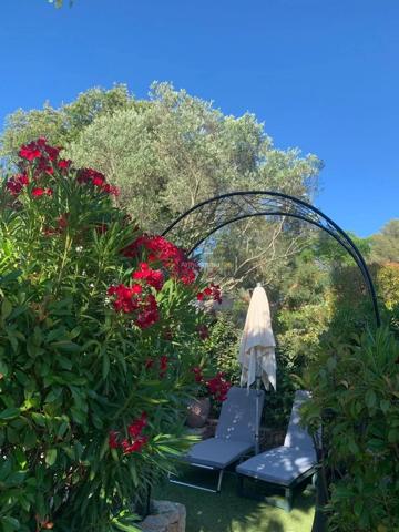 Vente                                                      Terrain
                        
                                         200 m2                     à Fréjus