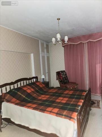 Maison à vendre à Châteauneuf-sur-Cher dans le Cher (18190), ref : 11087071CA