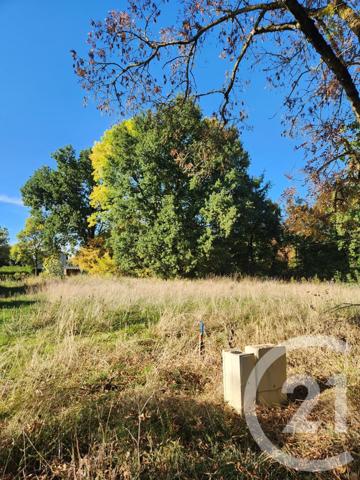 Terrain à vendre  900 m2 LESCOUT - 81
