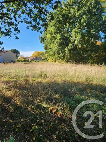 Terrain à vendre  900 m2 LESCOUT - 81