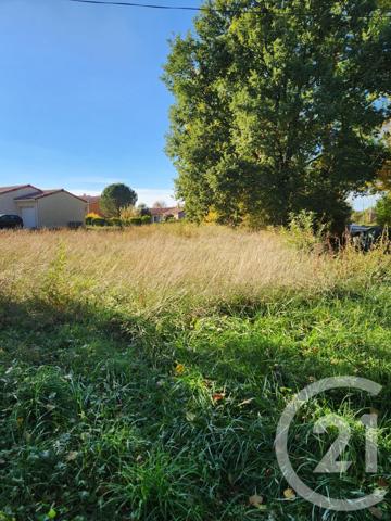 Terrain à vendre  900 m2 LESCOUT - 81