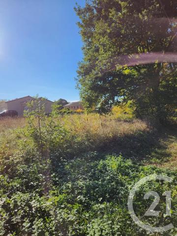 Terrain à vendre  900 m2 LESCOUT - 81