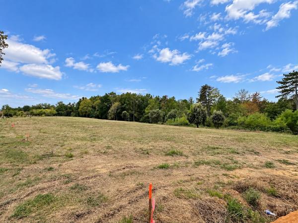Terrain
        
        - 3020 m² 67 000 € *