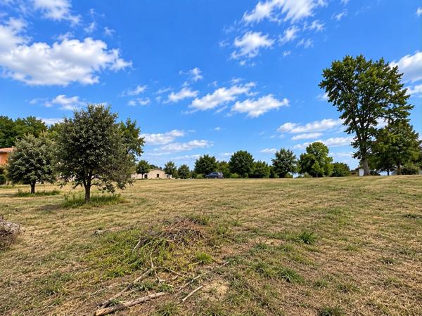 Terrain
        
        - 3020 m² 67 000 € *