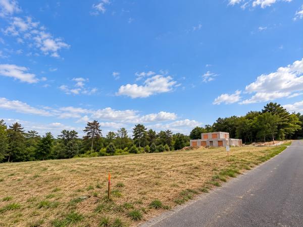 Terrain
        
        - 3020 m² 67 000 € *