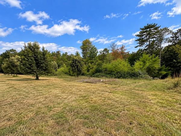 Terrain
        
        - 3020 m² 67 000 € *