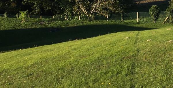 Vente / Terrain constructible