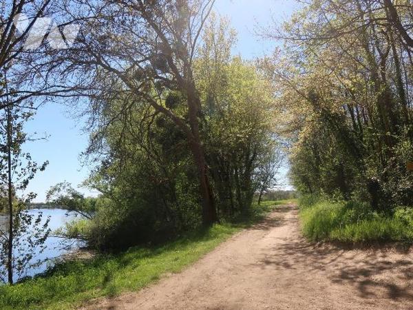 Parcelle de terrain boisé à proximité de la Vienne  - superficie : 6.770m2
NI EAU - NI ELECTRI...