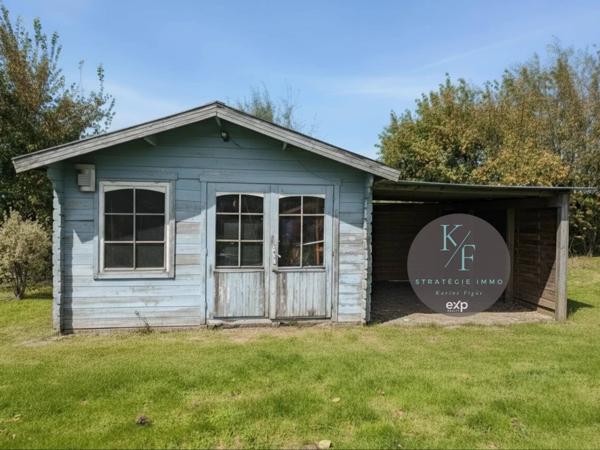 ✨Idéale pour les amoureux des chevaux ✨