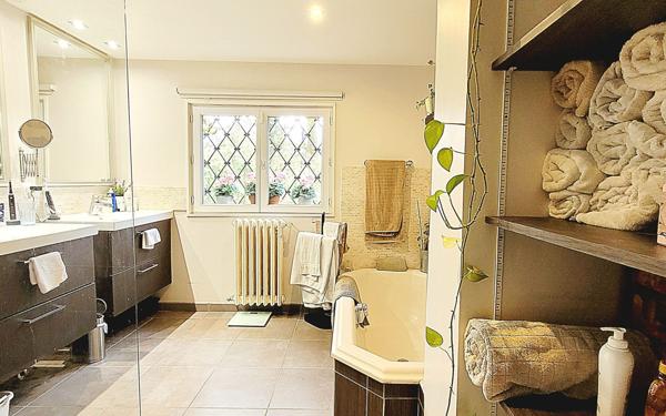 Maison à vendre    5 pièces •  Pougny