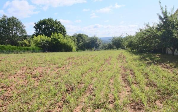 Vente Terrain Constructible Puy-l'eveque   