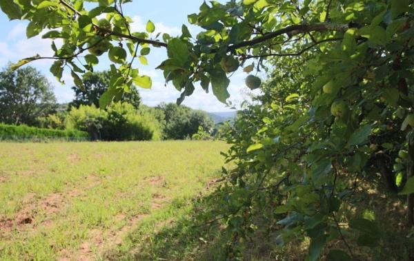 Vente Terrain Constructible Puy-l'eveque   
