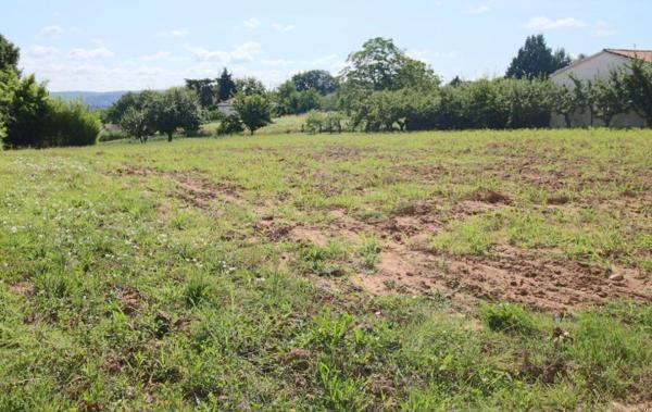 Vente Terrain Constructible Puy-l'eveque   