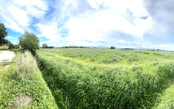 Pertuis, bastide provençale de 160m2 sur terrain de 5ha