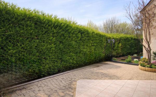 Maison à vendre    6 pièces • 176,15 m2 Tinqueux