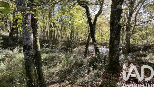 Terrain à vendre 96 509 m² Marguestau