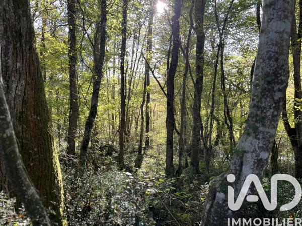 Terrain à vendre 96 509 m² Marguestau