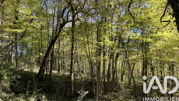 Terrain à vendre 96 509 m² Marguestau