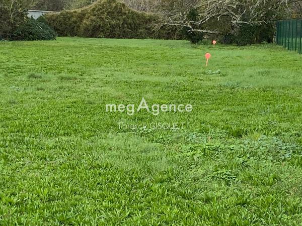 Terrain à MURET, 31600 - 2747m²