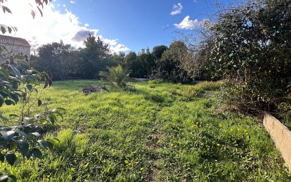 Terrain à vendre    Fréjus