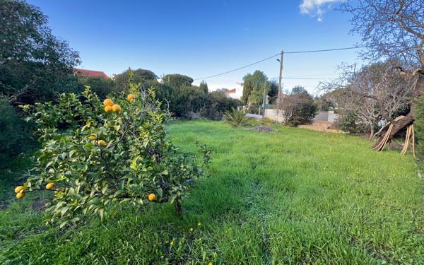 Terrain à vendre    Fréjus