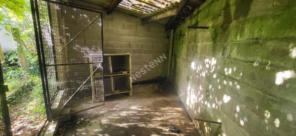 NANTES BOURGEONNIERE / HIPPODROME : En vente ! Exclusivité pour cette familiale de 4 chambres, jardin arboré Ouest, proche toutes commodités.