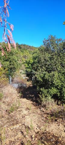 Terrain de loisirs de 4 296 m²