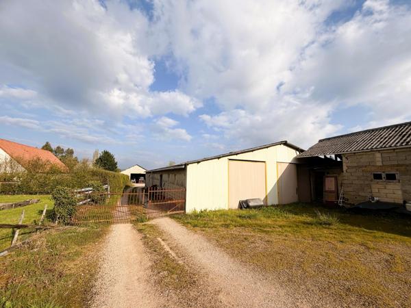 Maison avec hangar agricole et terrain